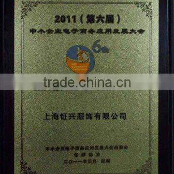 2010 Small and medium electron business applicatio