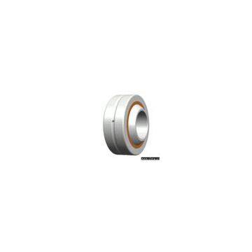 Spherical Plain Bearing