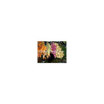artificial vegetable/artificial crafts/artificial plant