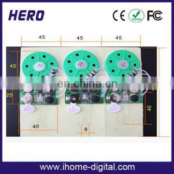 Press Button Small Sound Module for Gift