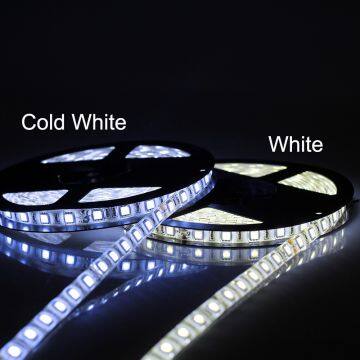 DC24V LED Strip 5050 60LEDs/m 5M/lot IP65 Waterproof LED Flexible Strip Light 5050 RGB White,warm White, LED Tape photo-4