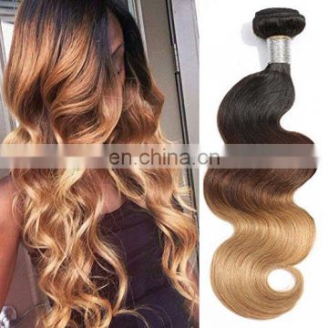 Mink brazilian hair 1b 27 ombre color hair