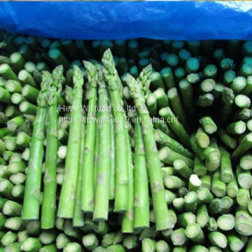 IQF Green Asparagus photo-3