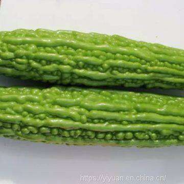 Strong Disease Resistant High Yield Bitter Gourd Seeds for Planting No.75 photo-2