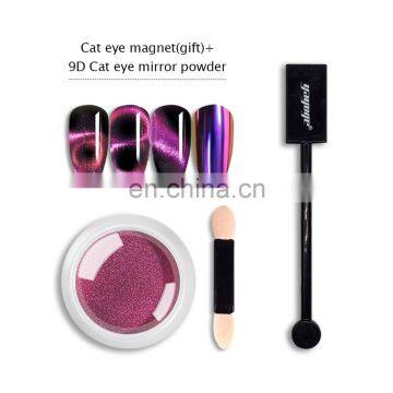 Nail Art Set 3D 5D 9d Cat Eyes Effect Magnetic Pigment Powder With Nail Magnet Set Sponge Stick photo-5