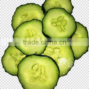 Wonderful Machine Electrical Mandoline Slicer for Vegetable Processor