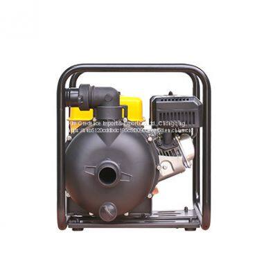 Hot Sale for Industrial and Agricultural Use Gasoline Chemical Pump photo-3