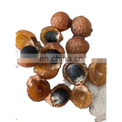 Best price organic soapberry/High quality 100% natural soapberry from Vietnam