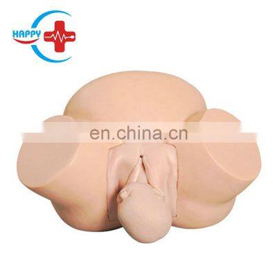 HC-S307 Medical Science Teaching Manikin advanced midwifery training model,obstetric labor and midwifery training model