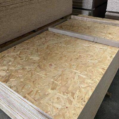 Factory Price 11/15/18mm 4*8FT OSB3 Construction Grade for Building Materials