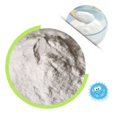 Freeze Dried Yogurt Starter Culture Powder,Probiotic yorghurt starter cultures