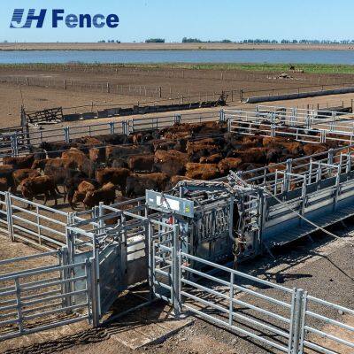 Secure-Hold Cattle Panel: Rigid One-Piece Construction Prevents Bending for Uncompromised Livestock Security