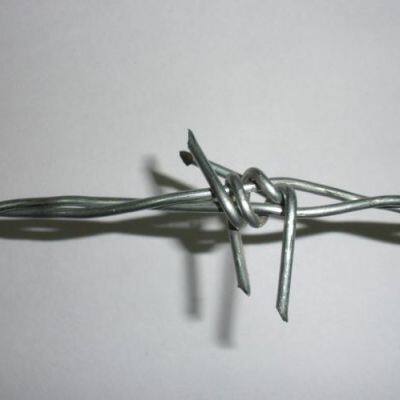 Wholesales Fencing Hot Dipped Galvanized Barbed Wire photo-4