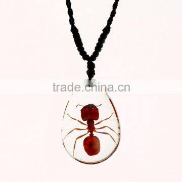 New Fashion Lovely Necklace With Real Insect photo-3