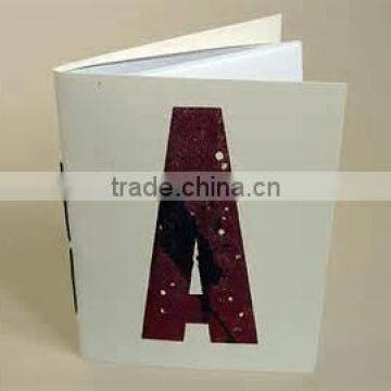 Offset Printing Booklet Brochure Printing photo-3