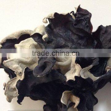 White Back Dried Black Fungus