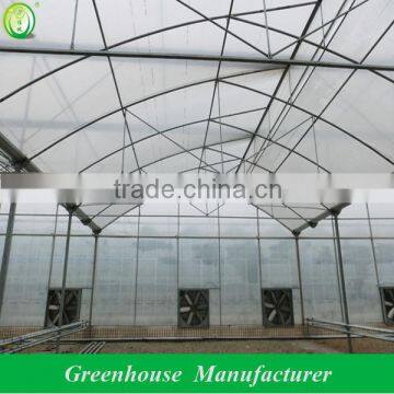 pep film sawtooth greenhouse