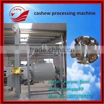 CASHEW STEAM BOILER