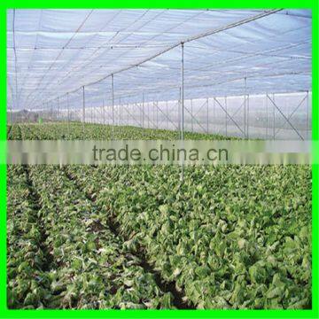100% HDPE Anti Insect Netting photo-2