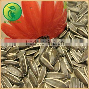 Hot Sale Sunflower Seeds Vegetable photo-2