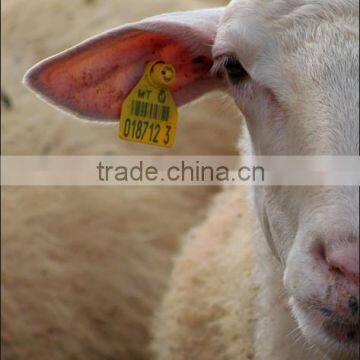 Sheep RFID Ear Tag ISO11784/5 FDX-B Animal Identification Tags