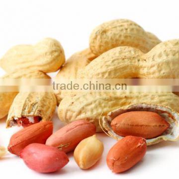 Raw peanut available