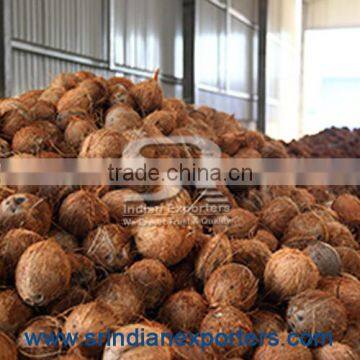 Top Quality Coconut Suppliers from india