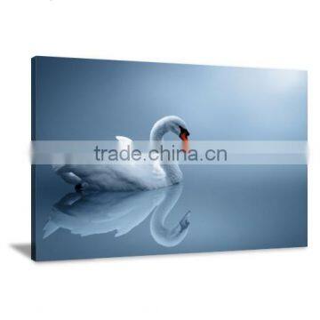 Beauty Swan animal Canvas Printing Painting Bedroom decor DWYS81