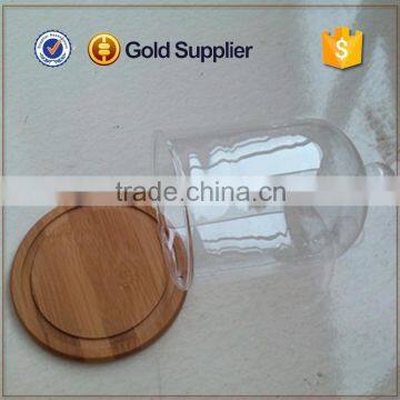 2016 High Quality Clear Glass Bell Jar With Wooden Base Quality Choice photo-3