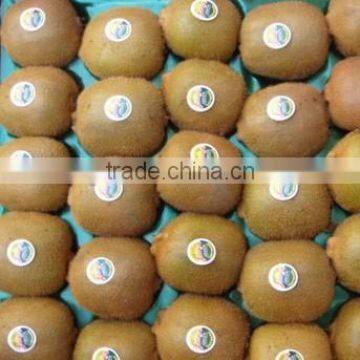 Supply Fresh Kiwi for sale