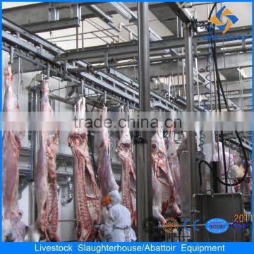 Beef Processing Facility Cow Slaughter photo-6