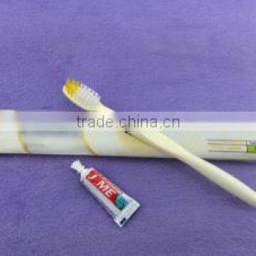 Professional OEM/ODM wholesale disposable toothbrush with toothpaste