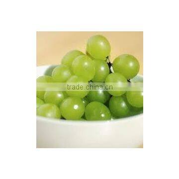 Fresh Spray Dried Grape Powder at 100% Purity