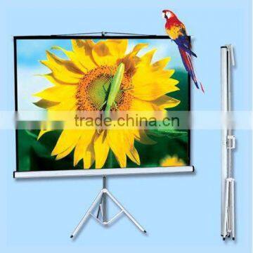 High gain projection screen