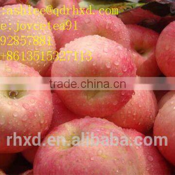 Apple Fuji India Pakistan Southeast Asia Europe UAE South Africa