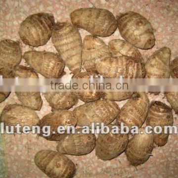 2015 New Season of Chinese Fresh Taro