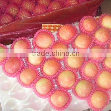 china red fuji apple