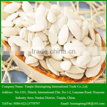 Snow White Pumpkin Seeds : 10mm, 11mm, 12mm,13mm