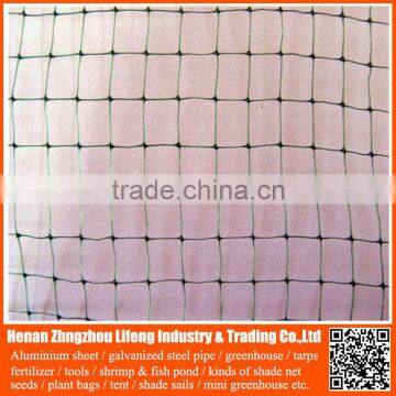 Shrimp Farm 100% Virgin Hdpe Plastic Anti Bird Netting , pe Net With uv photo-6