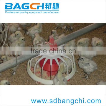 Bangchi poultry automatic feeding system