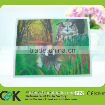 Favorable Price !Printing irregulare big 3d pvc cards from gold manufacture