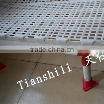 Plastic floor drain chicken plastic grid floor slat floor