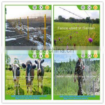 Anping hot-dip zinc plating barbed wire for Fence used in Farm animal husbandry