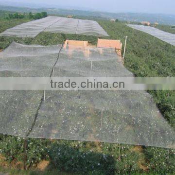 White Anti Hail Nets used to protect plants from hail damage