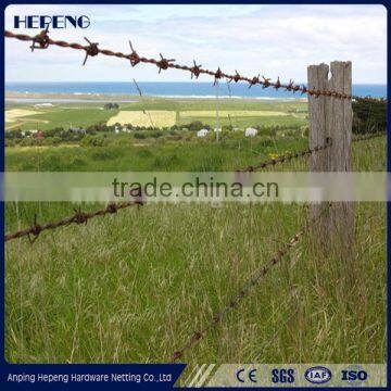 Barbed Wire Fence (factory) photo-6