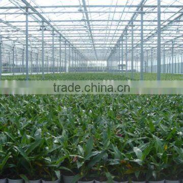 Industrial Greenhouse photo-2