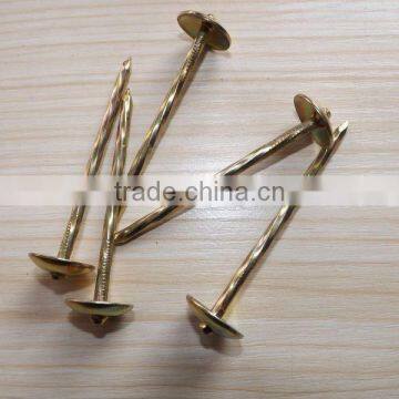 Electro Galvanized 2.5 Inch Screw Shank Twisted Roofing Nail photo-4