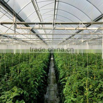 Greenhouse Film/ PC Sheet Covering Multi Span Greenhouse Agricultural Greenhouse photo-3