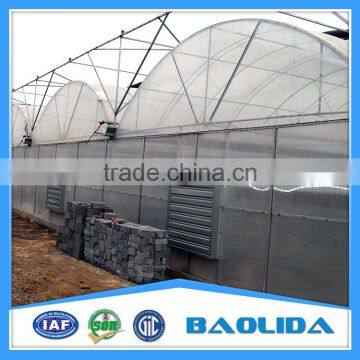 Low Cost Polythene Film Vegetable Greenhouse With Sun Shading photo-3