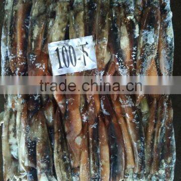 Wholesale Fresh Frozen Illex Squid Price photo-4